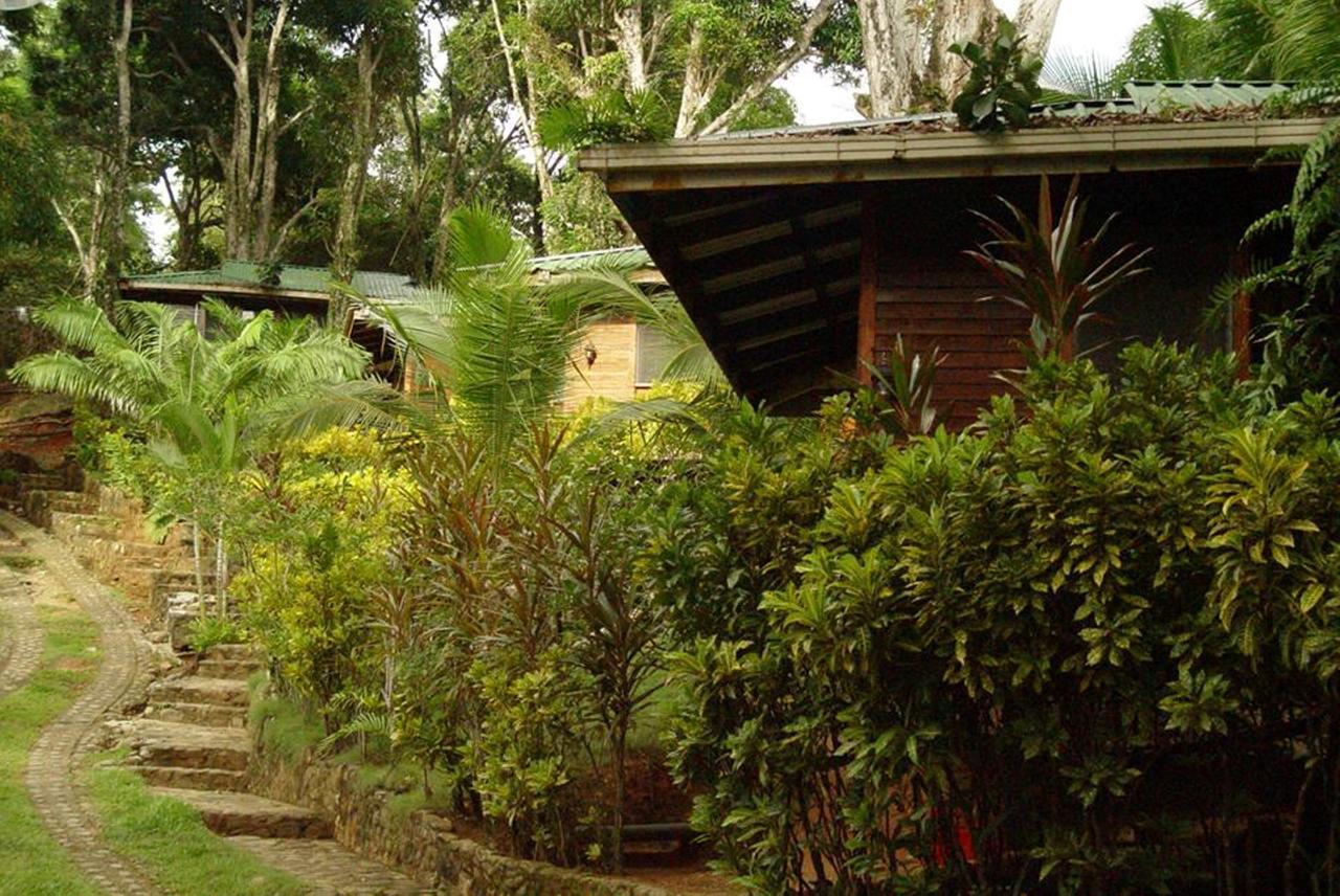 Cabinas La Parcela Villa Dominical Exterior foto